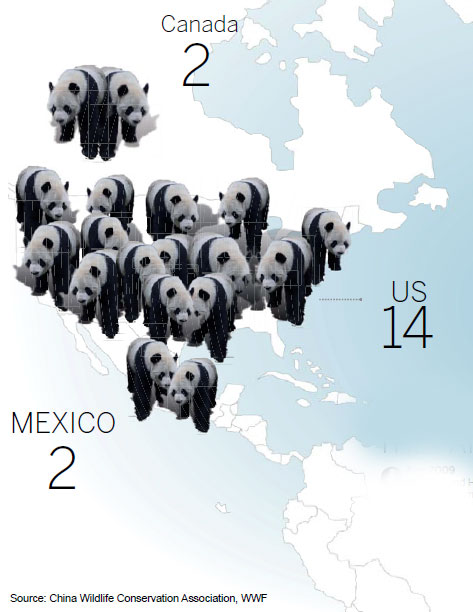 Panda planet