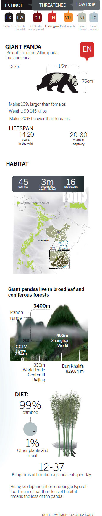 Panda planet