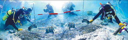 Scientists and looters vie for treasure