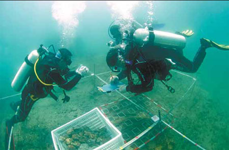Scientists and looters vie for treasure