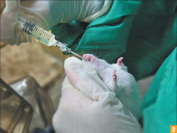 Researchers promote ethical experiments