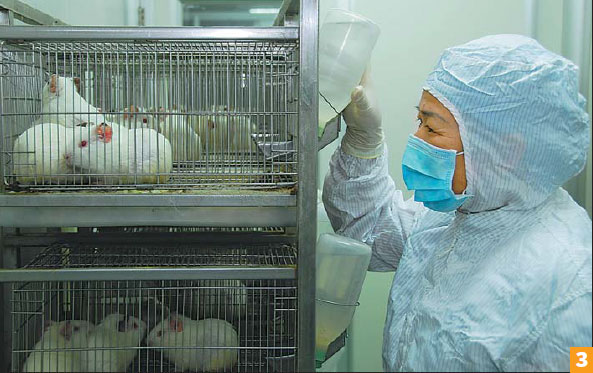 Researchers promote ethical experiments