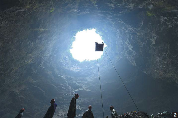 Plant kingdom in a sinkhole