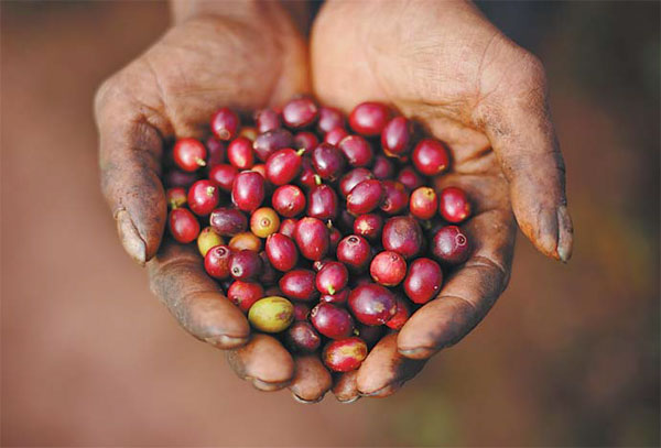 Appetite grows for sustainably farmed food