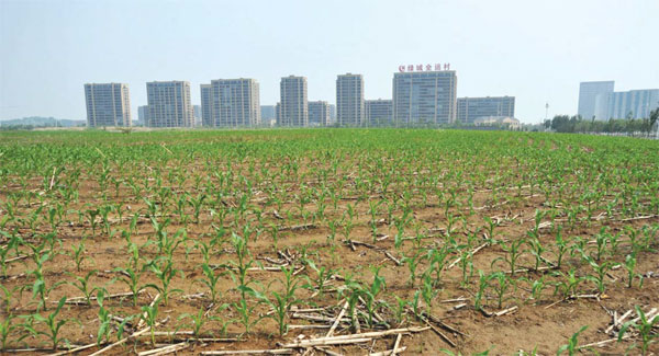 The future of China's 'ghost cities'