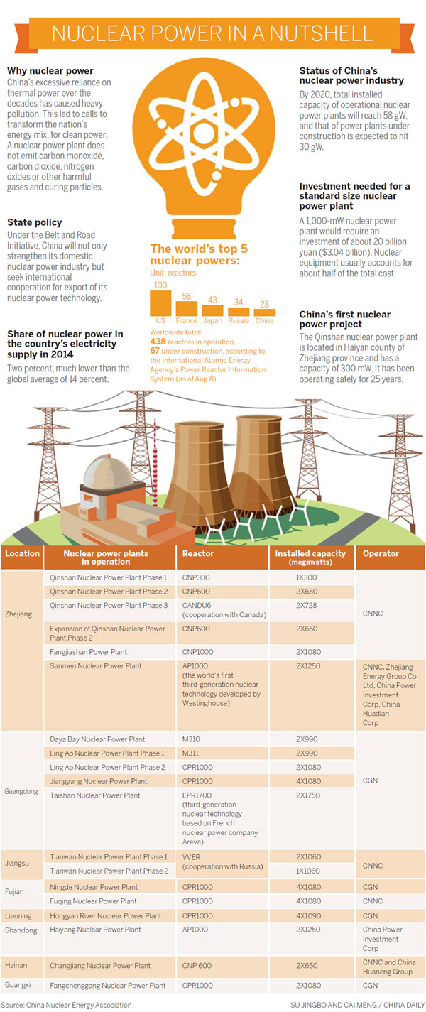 Nuclear power in a nutshell
