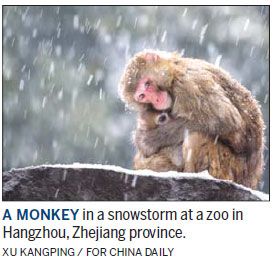 The monkey on all our backs
