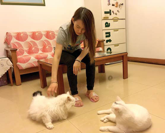 Chinese growing closer to pets