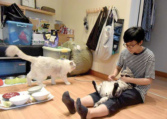 Chinese growing closer to pets