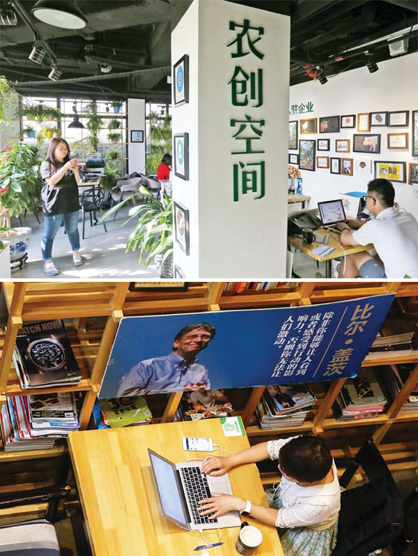 Growing future money trees