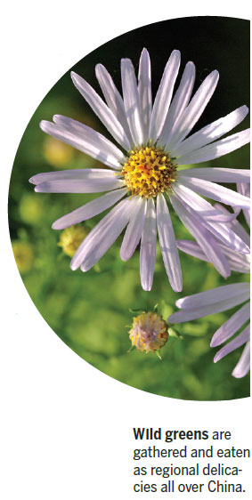 Wild weeds tamed for the table