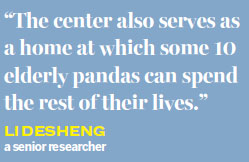 Pandas rebound from earthquake