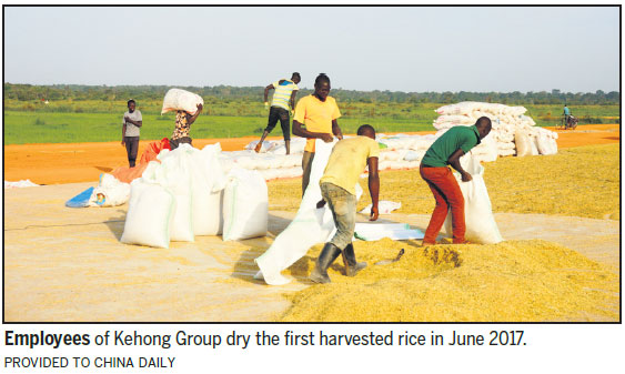 First came the chicken, then the egg farm