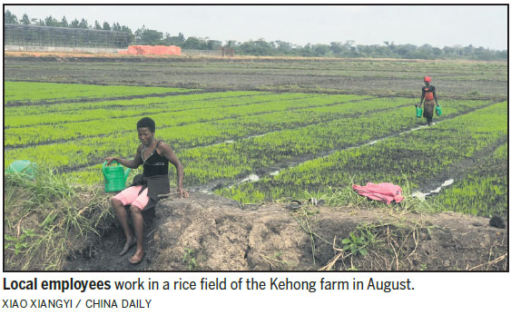 First came the chicken, then the egg farm