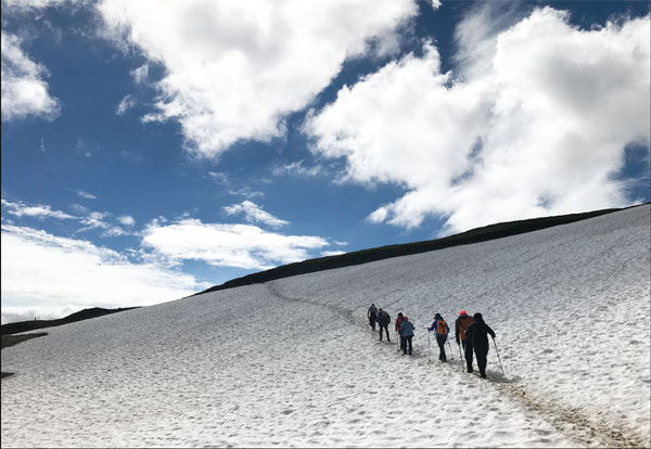 More travelers make wellness a priority