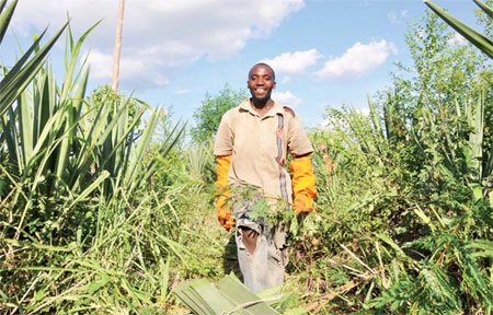 Visiting experts prove popular with African farmers