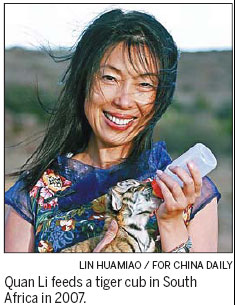 A long-lasting love affair with big cats