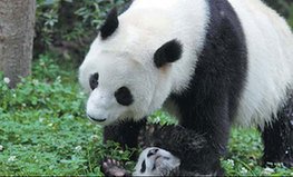 At the heart of China