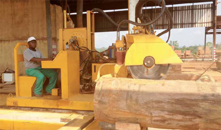 Mining forests of gold