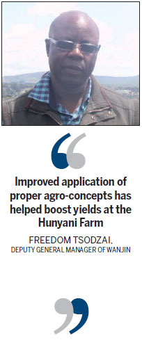 Fields of dreams and success