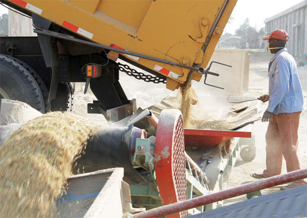 Chinese technology blooms in Mozambique