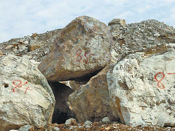 Chicken-blood jade dealers feather nests