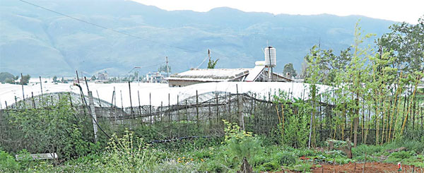 A small slice of France in the Chinese countryside