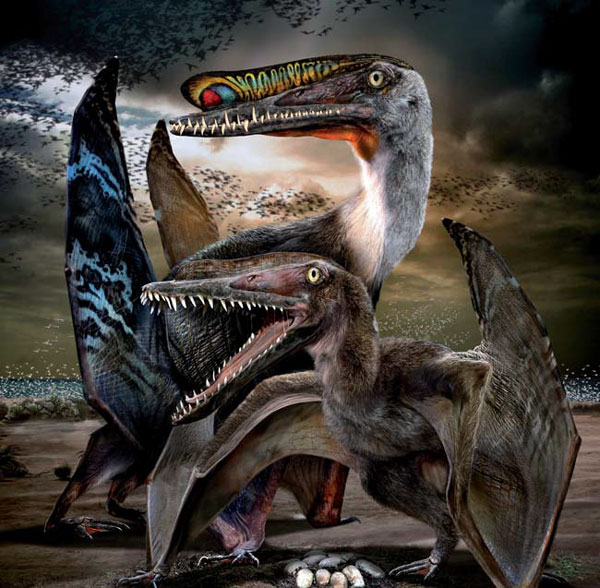Pterosaurs take flight from sands of time