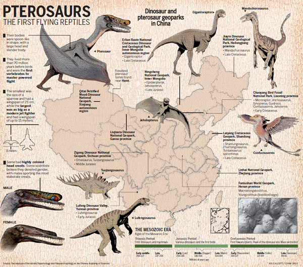 Pterosaurs take flight from sands of time
