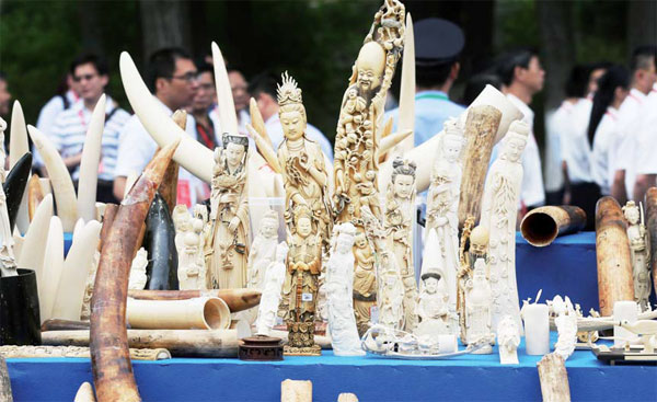 Nations team up against poaching