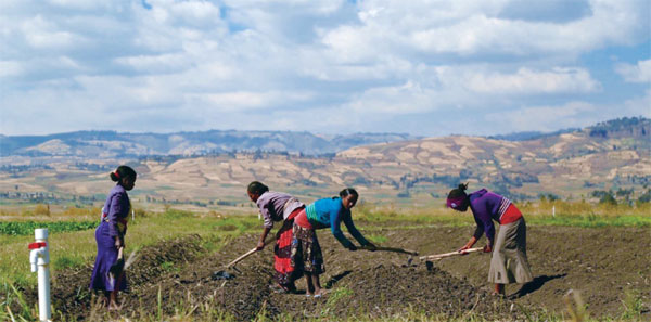 Agricultural ties grow stronger