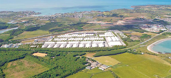 SinoFortone plants break new ground