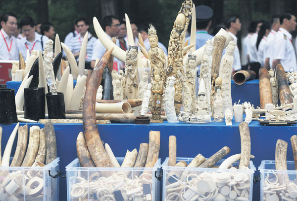 Ivory carvers want craft preserved