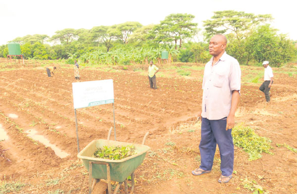 Making agriculture youthful in Malawi