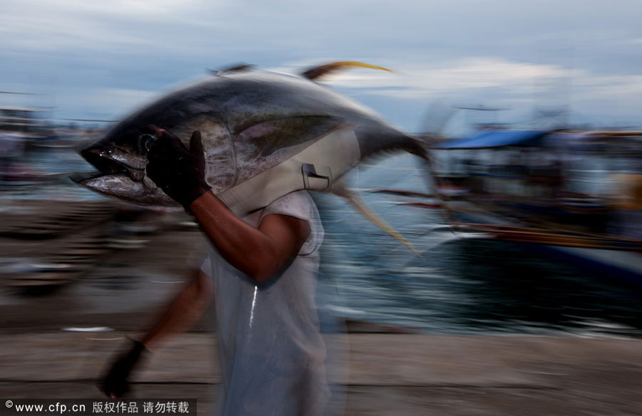 Bloomberg's images of 2012