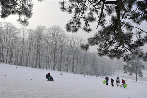 Beautiful rime scenery in Brussels