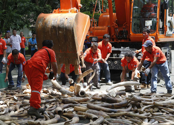 Philippines sends message against ivory trafficking