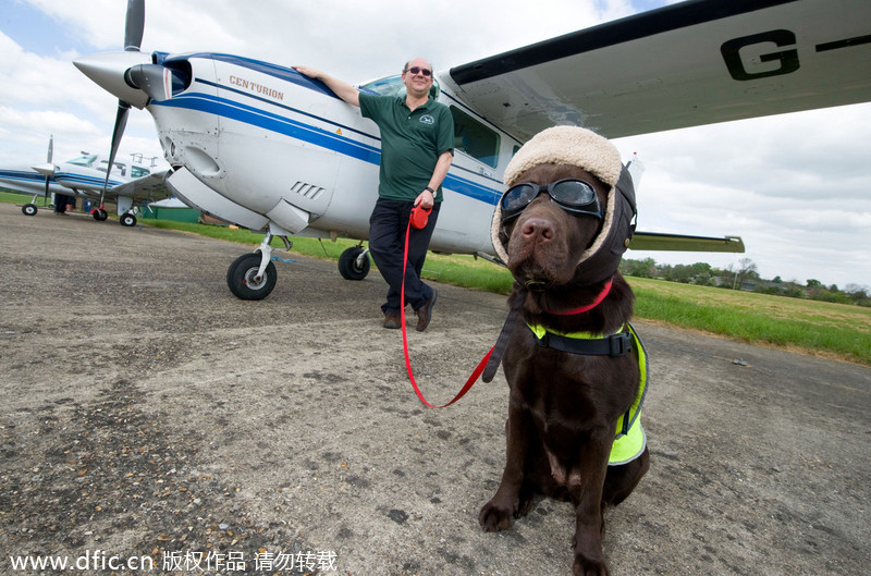 Captain Callie earns her wings