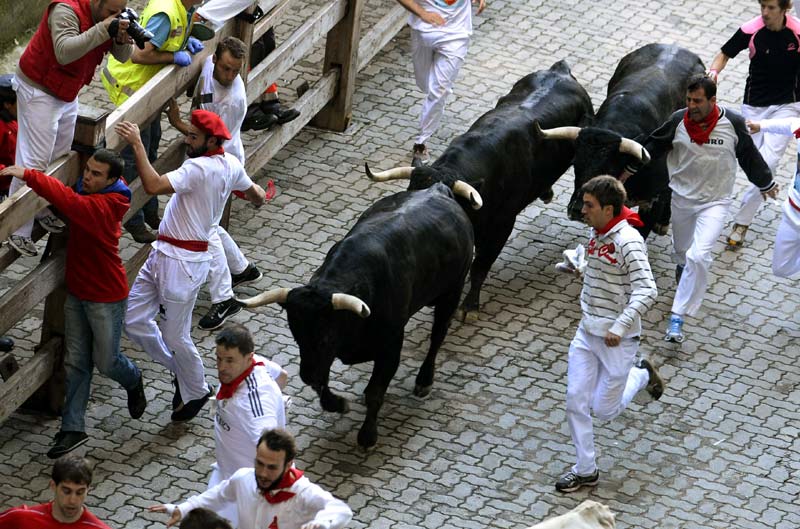 Mess up with bulls