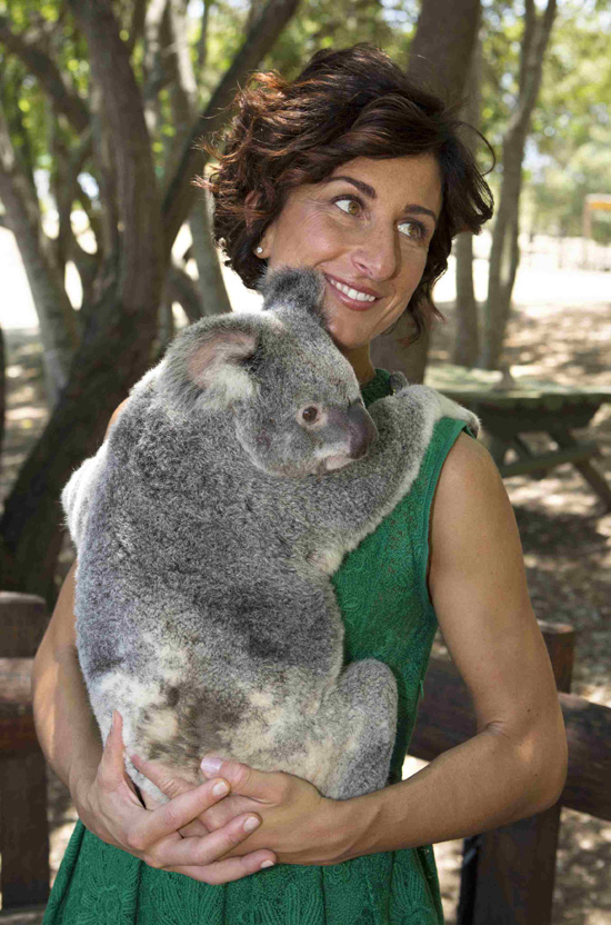 First ladies cuddle up to koalas
