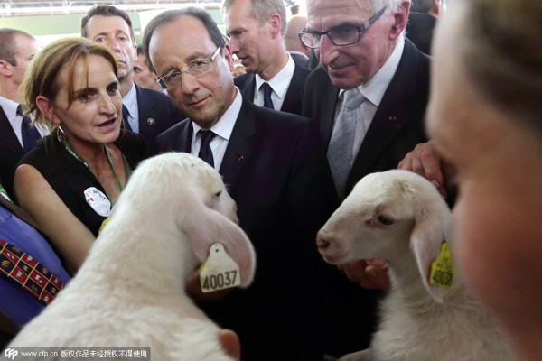 When celebs meet goats, sheep and rams