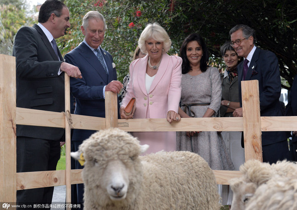 When celebs meet goats, sheep and rams