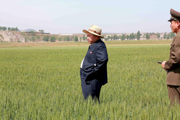 DPRK hit by worst drought in 100 years