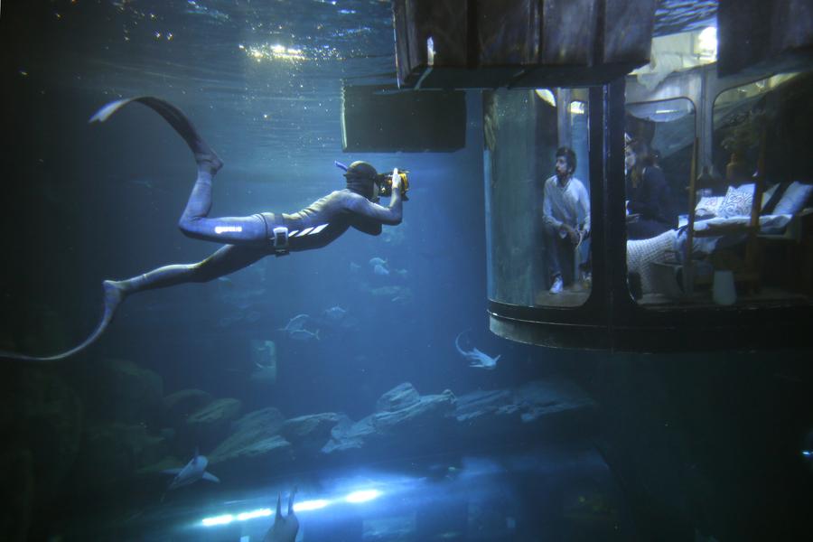 Sleep tight and don't let sharks bite at Paris aquarium