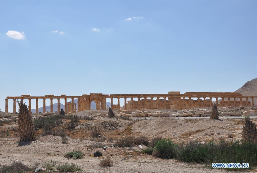 Damaged ancient columns seen in Syria
