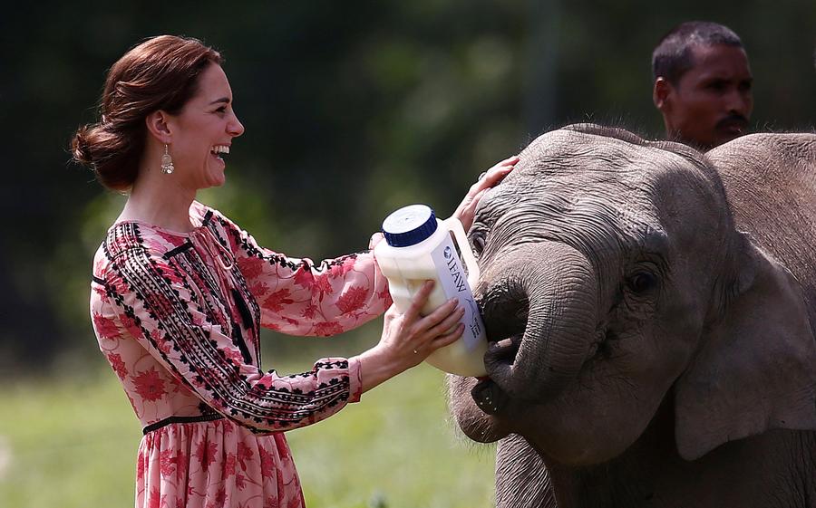 Prince William and Kate visit India's wildlife hotspot Kaziranga