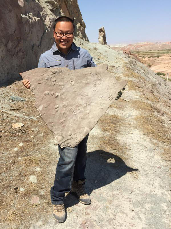 Chinese and Iranian scientists discover ferocious dinosaur tracks