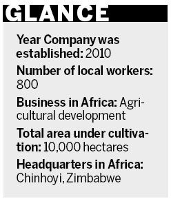 Chinese company helps agricultural co-ope in Zimbabwe