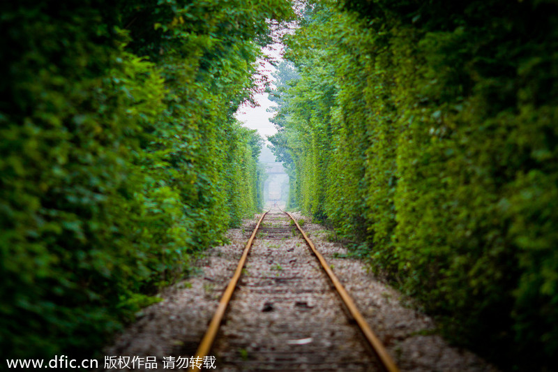 'Most naturally beautiful' railroad