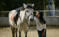 Riding at full gallop in the land of tallyho